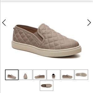 Steve Madden Ecentrcq slip on sneakers